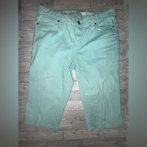 DKNY mint green Bermuda Shorts women’s size 10